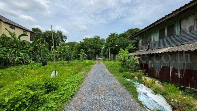 รูป ที่ดิน 125 ตรว. ซอยทวีวัฒนา 43 ถนนบรมราชชนนี ทำเลดี ราคาถูกมาก - รูปที่ 7/14