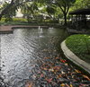 listing thumbnail image 9