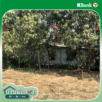 รูป บ้านเดี่ยว 221 ตร.วา ศรีมโหสถ ปราจีนบุรี 1.1M - รูปที่ 13/15