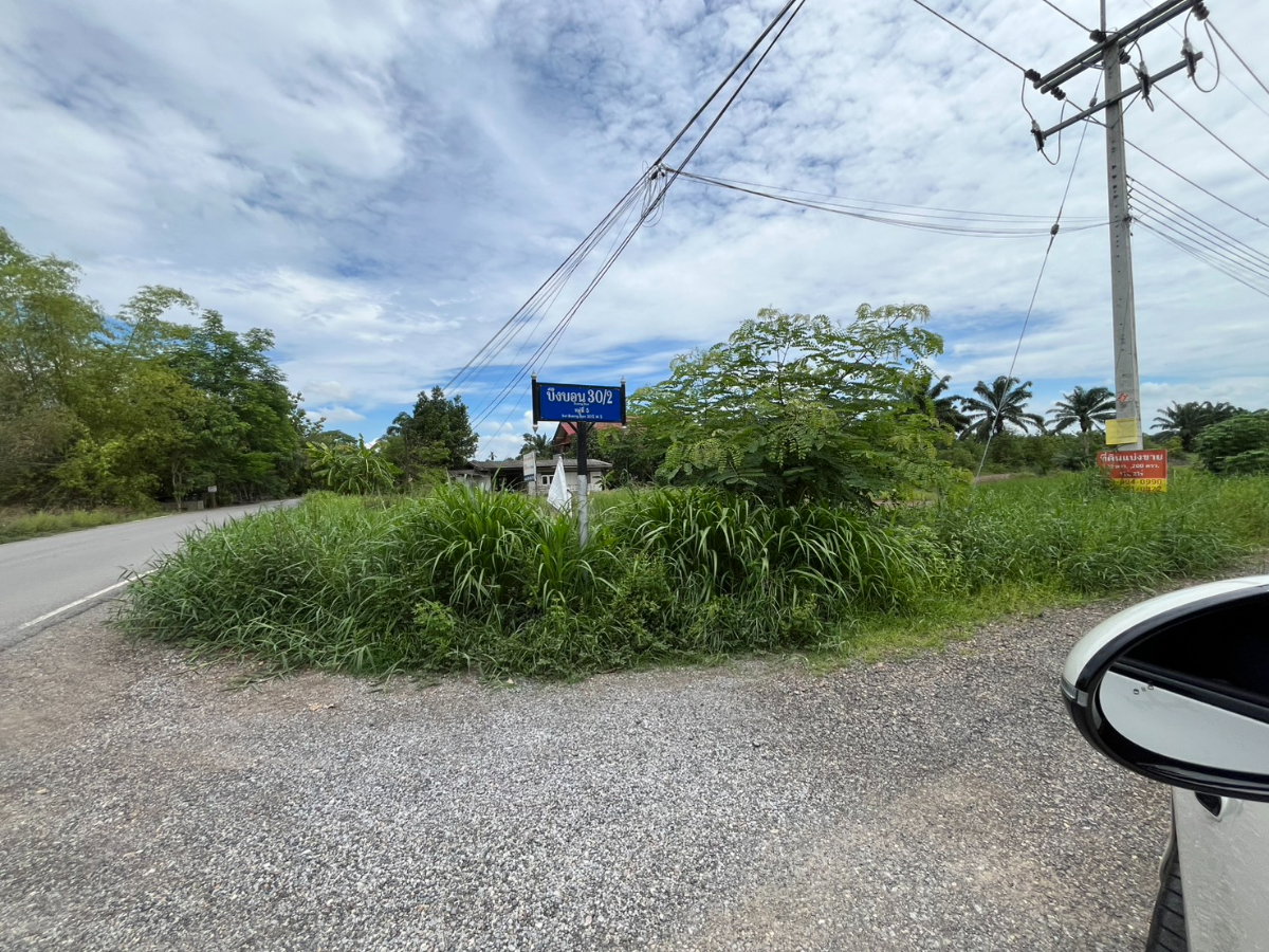รูป BL148|อาคารโกดัง พร้อมสิ่งปลูกสร้าง ซอยบึงบอน 30/2 ถนนเลียบคลอง 8 ฝั่งตะวันตก ตำบลบึงบอน อำเภอหนองเสือ ปทุมธานี⚡ราคาถูก! 2,300,000 บาท⚡ - รูปที่ 16/17