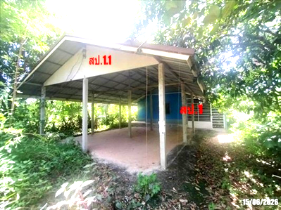 ขายบ้านเดี่ยว : บ้านเดี่ยว 177 ตร.วา เมืองอุดรธานี อุดรธานี 1.1M