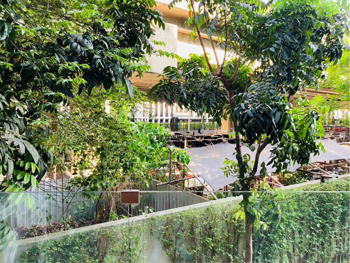 picture The Excel Hideaway Sukhumvit 71 🌟PN-00006052🌟 - 12/12