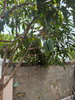 listing thumbnail image 20