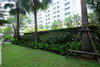 listing thumbnail image 12