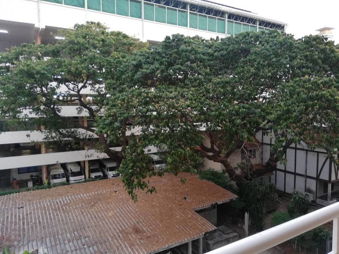 picture RS6845 For Rent: The Amethyst 39 Condominium, Sukhumvit 39, near BTS Phrom Phong - 3/10