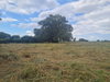 listing thumbnail image 4