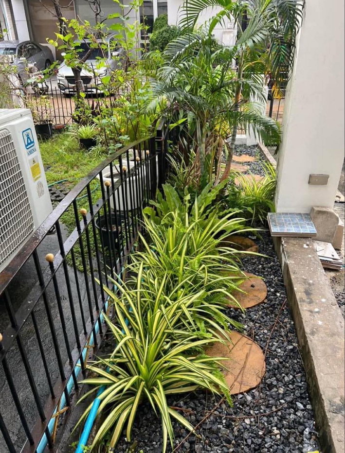 รูป ให้เช่า ทาวน์โฮม 3 ชั้น ติดศูนย์ราชการนนท์ สถานีรถไฟฟ้าสีม่วงและสีชมพู - รูปที่ 15/15