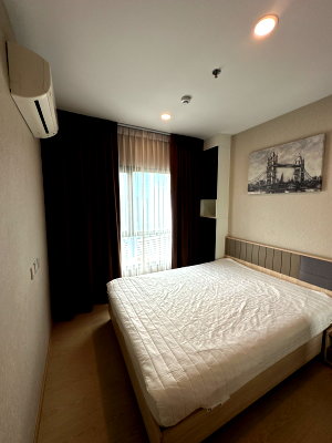 คอนโดให้เช่า : ให้เช่าคอนโด (เดอะทรี สุขุมวิท 71 เอกมัย) The Tree Sukhumvit 71-Ekamai Rent⭐️ พร้อมเข้าอยู่ 