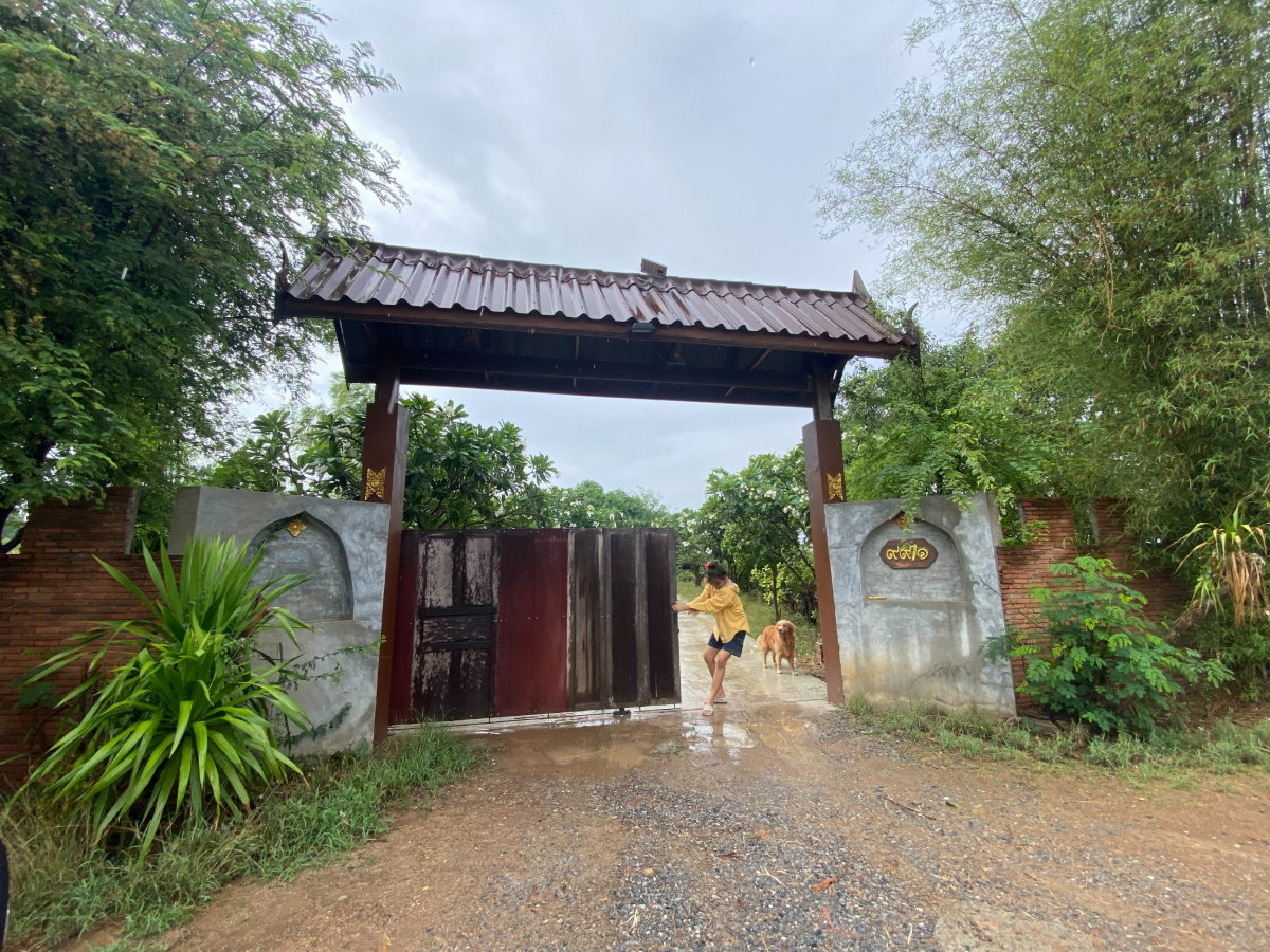 รูป ขายบ้านทรงไทยพร้อมที่ดิน 1 ไร่ วิวทุ่งนา อำเภอท่าวุ้ง จังหวัดลพบุรี - รูปที่ 13/14