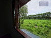 listing thumbnail image 34