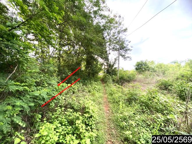 รูป ที่ดินว่างเปล่า 169 ตร.วา ศรีบุญเรือง หนองบัวลำภู 845,000 - รูปที่ 4/20