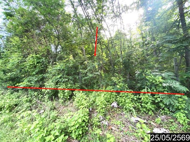 รูป ที่ดินว่างเปล่า 169 ตร.วา ศรีบุญเรือง หนองบัวลำภู 845,000 - รูปที่ 2/20