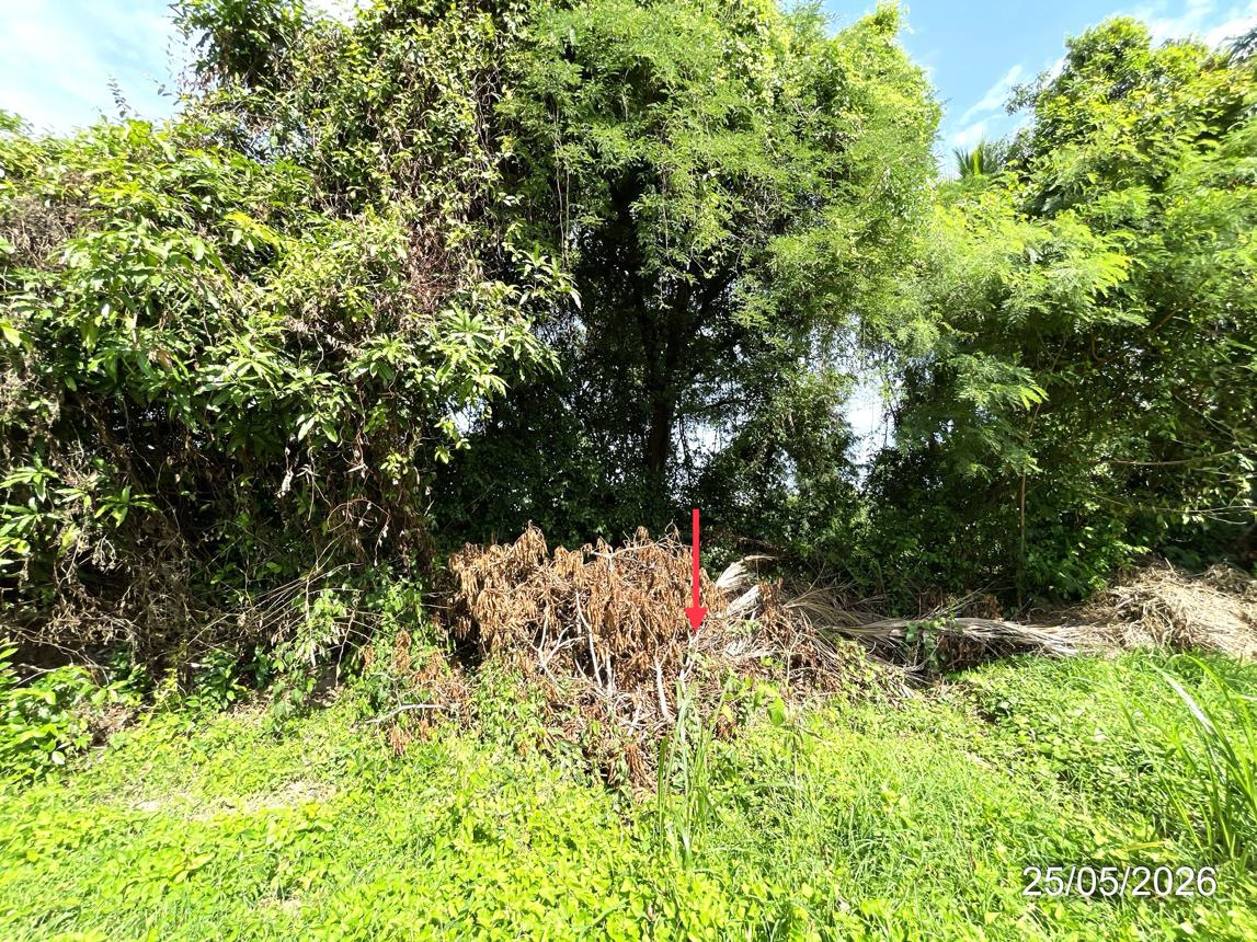 picture LAND 150.8 Sq.w. Muang Phitsanulok Phitsanulok for 1.7M - 12/18