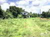 listing thumbnail image 12