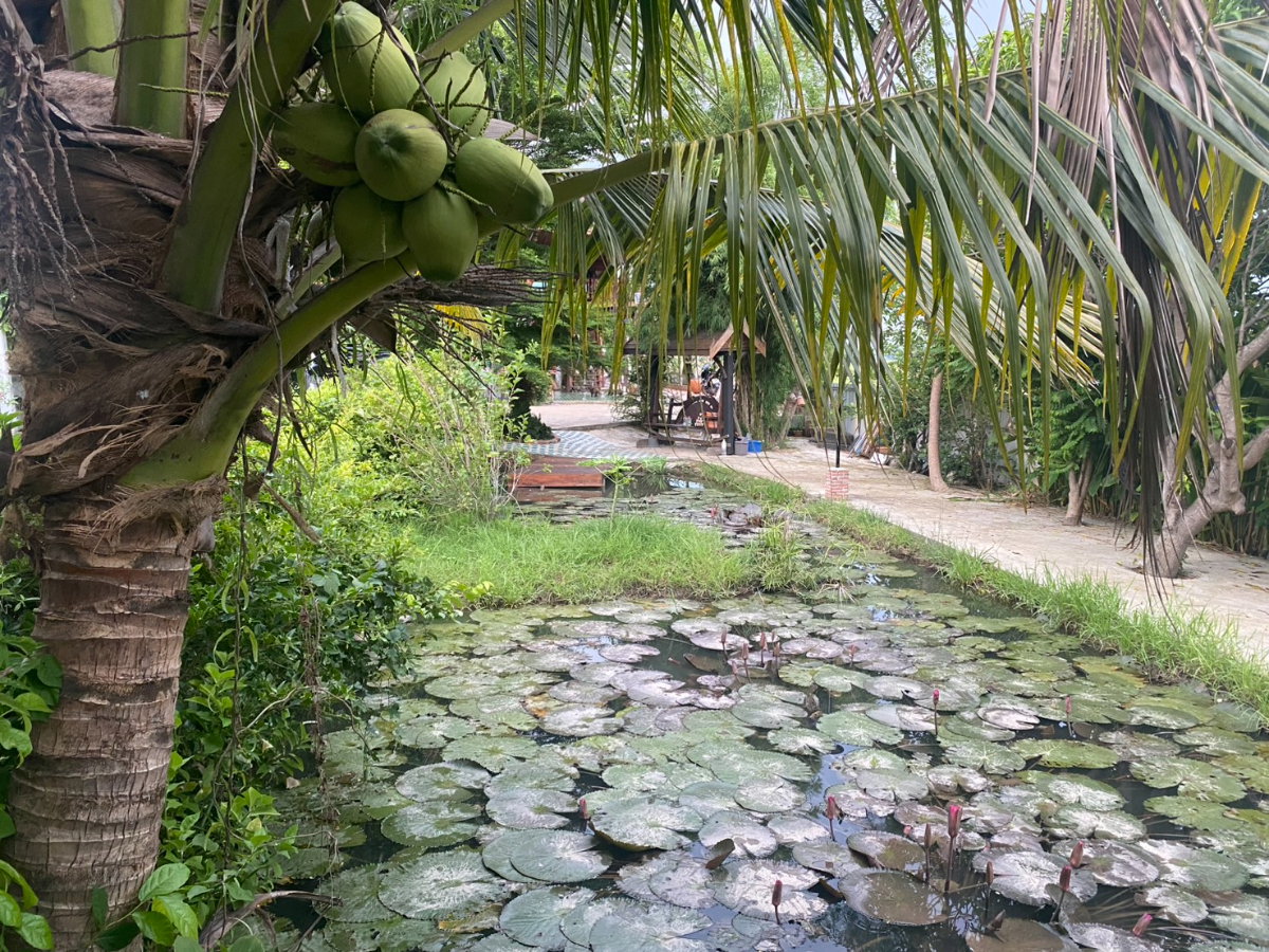 รูป ขายบ้านทรงไทยพร้อมที่ดิน 1 ไร่ วิวทุ่งนา อำเภอท่าวุ้ง จังหวัดลพบุรี - รูปที่ 5/14
