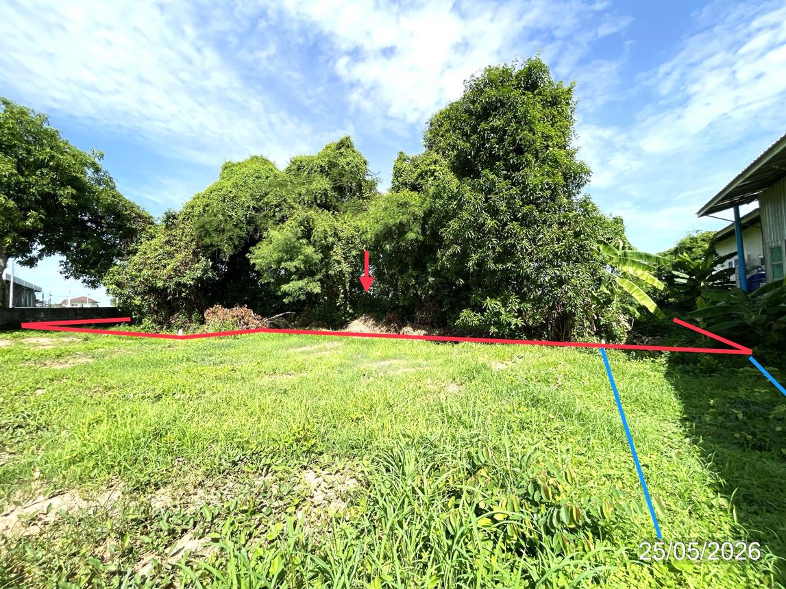 picture LAND 150.8 Sq.w. Muang Phitsanulok Phitsanulok for 1.7M - 10/18