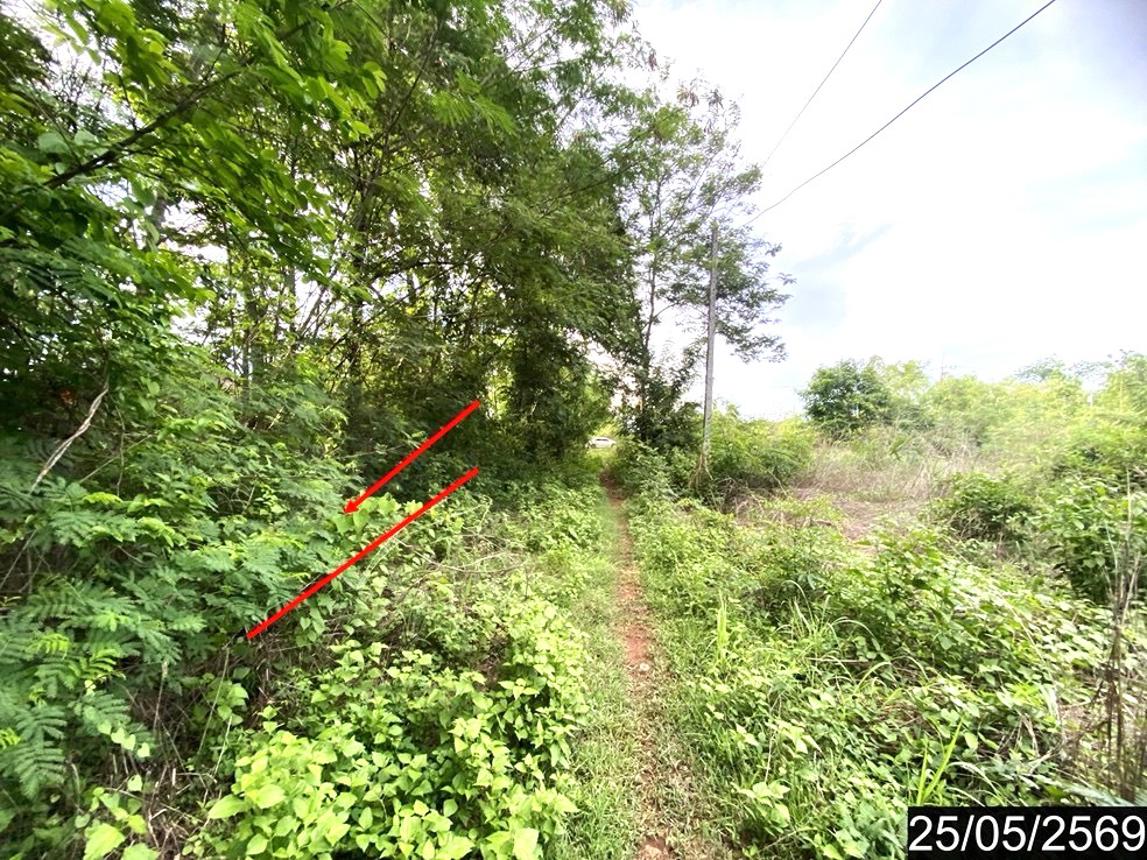 รูป ที่ดินว่างเปล่า 169 ตร.วา ศรีบุญเรือง หนองบัวลำภู 845,000 - รูปที่ 12/20