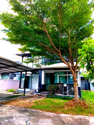 บ้านเดี่ยว กรุงเทพมหานคร : 🔥ขาย บ้านเดี่ยว 100 ตร.ว. หมู่บ้านปัญญารามอินทรา P4 ทำเลทองย่านรามอินทรา ใกล้แฟชั่นไอส์แลนด์ เพียง 3 นาทีถึง ขายด่วนราคาพิเศษสุดๆ