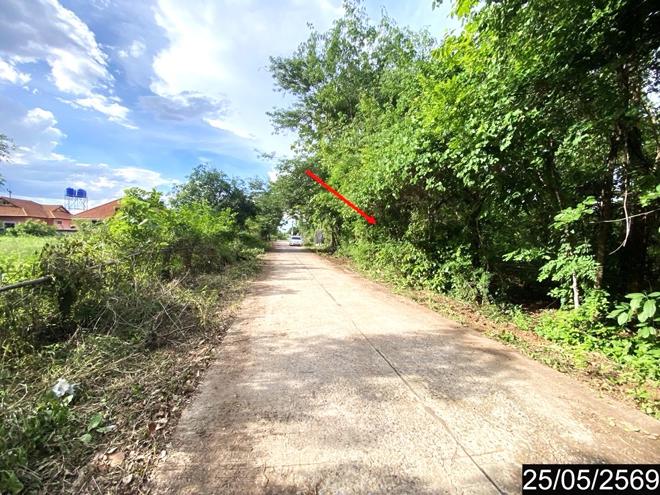 รูป ที่ดินว่างเปล่า 169 ตร.วา ศรีบุญเรือง หนองบัวลำภู 845,000 - รูปที่ 5/20