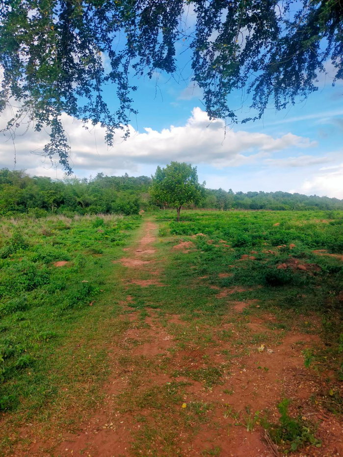 picture Land for Sale in Karnchanaburi - 3/6