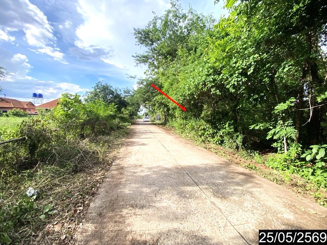 รูป ที่ดินว่างเปล่า 169 ตร.วา ศรีบุญเรือง หนองบัวลำภู 845,000 - รูปที่ 13/20