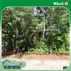 listing thumbnail image 17