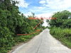 listing thumbnail image 6