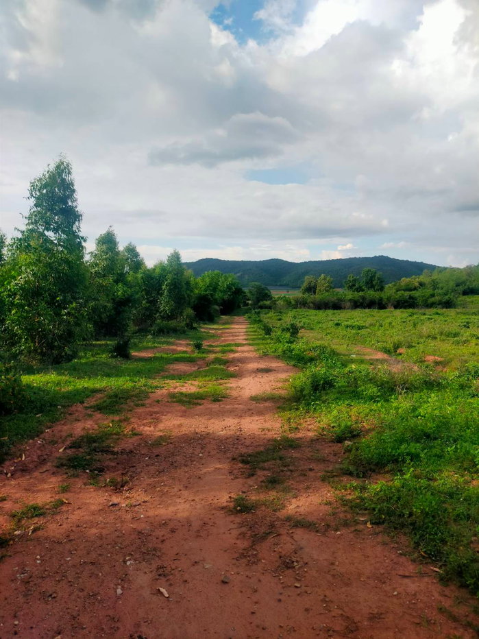 picture Land for Sale in Karnchanaburi - 2/6
