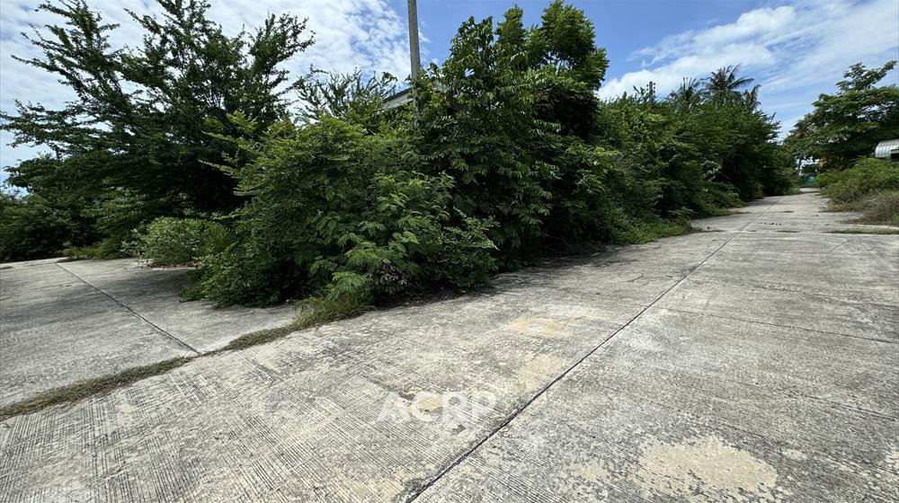 รูป ขายที่ดินใกล้ทะเล ที่ดินปากน้ำปราณบุรี ที่ดินติดทะเล รหัสทรัพย์ 00159118 - รูปที่ 7/7