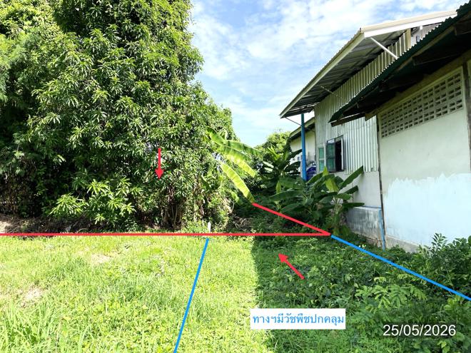 picture LAND 150.8 Sq.w. Muang Phitsanulok Phitsanulok for 1.7M - 7/18