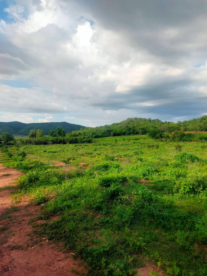 picture Land for Sale in Karnchanaburi - 1/6