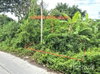 listing thumbnail image 12