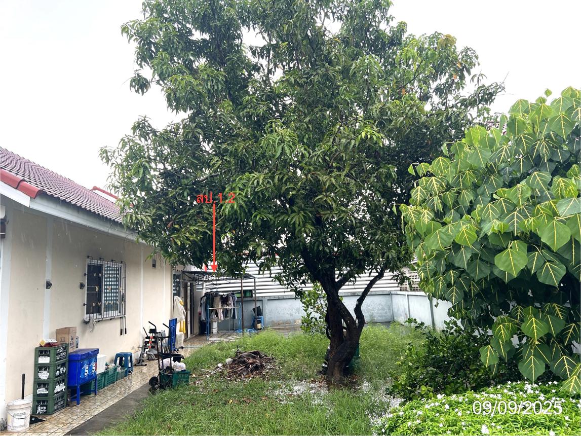 รูป บ้านเดี่ยว 100 ตร.วา เมืองกำแพงเพชร กำแพงเพชร 2.4M - รูปที่ 11/16