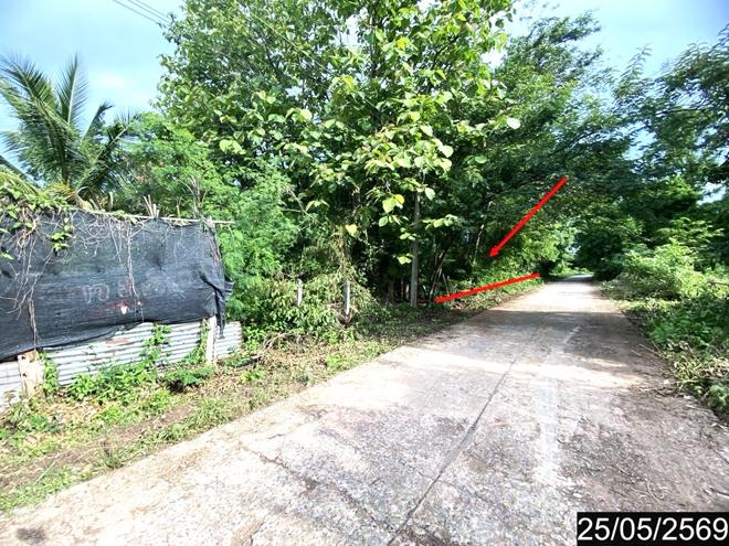 รูป ที่ดินว่างเปล่า 169 ตร.วา ศรีบุญเรือง หนองบัวลำภู 845,000 - รูปที่ 7/20