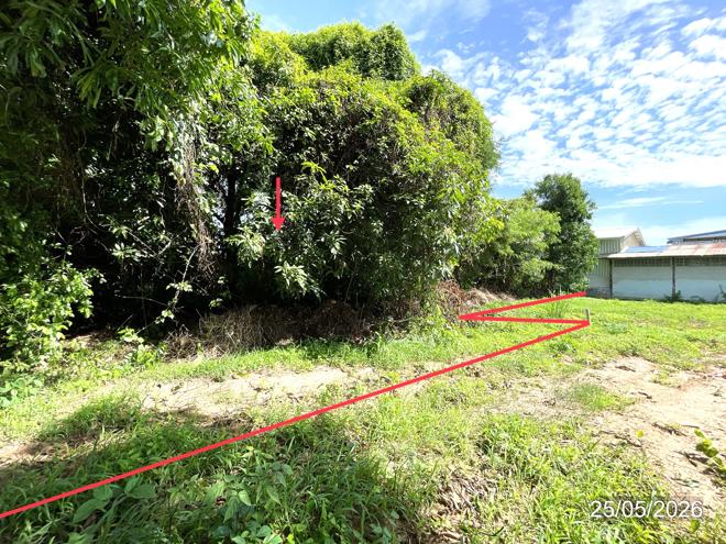 picture LAND 150.8 Sq.w. Muang Phitsanulok Phitsanulok for 1.7M - 2/18