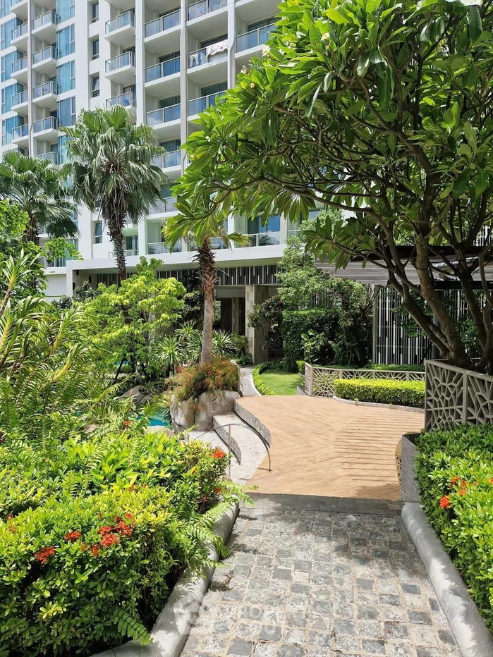 picture Pet-Friendly 1-BR Condo On 25th Floor, The Riviera Wongamat (ID 3057391) - 7/14
