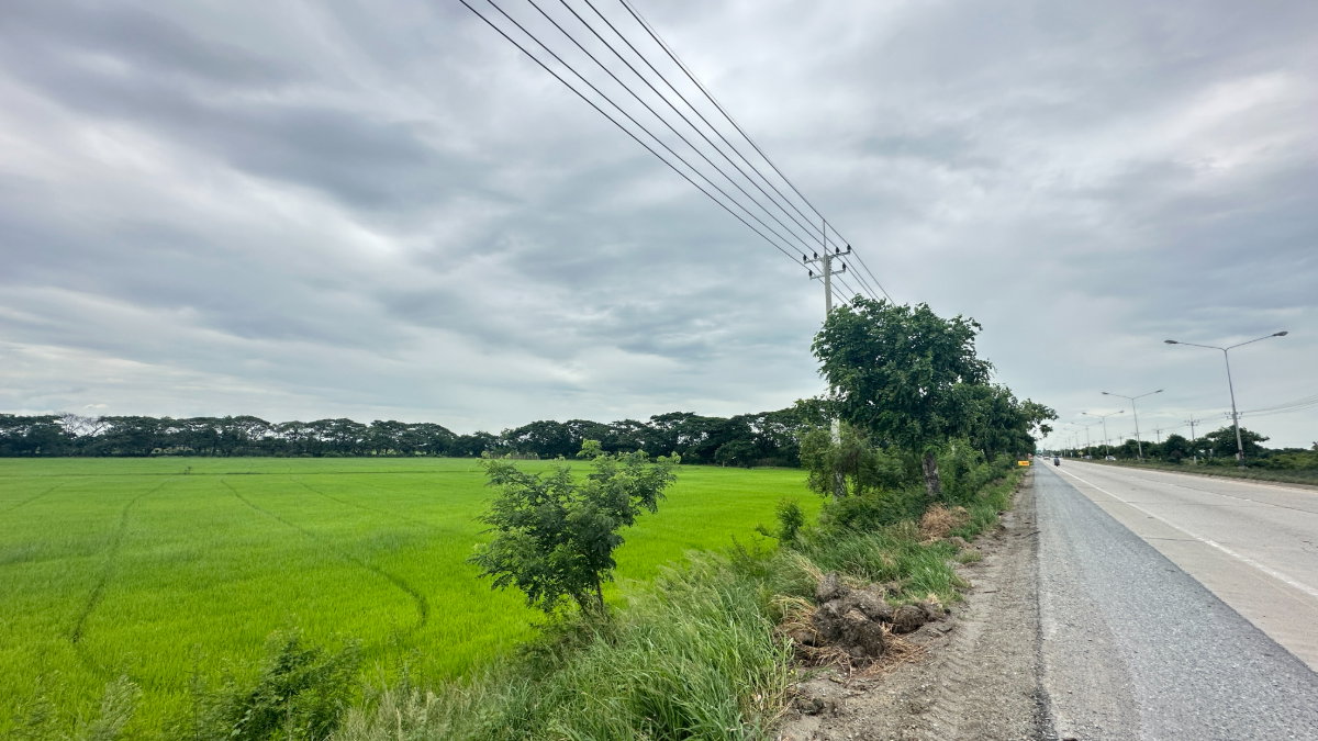 รูป ที่ดินสุพรรณบุรี 39 ไร่ กว้างติดถนนใหญ่ หน้ากว้าง 500 m อำเภอเมือง ให้เช่า เจ้าของปล่อยเอง - รูปที่ 2/5