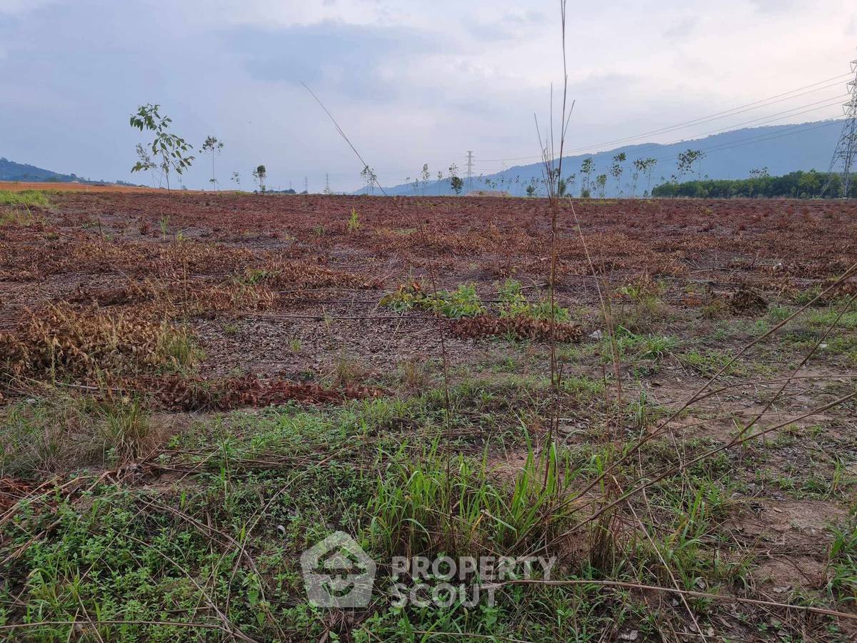 รูป ที่ดินขาย ใน คลองกิ่ว บ้านบึง ชลบุรี (ID 3053821) - รูปที่ 6/10