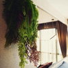 listing thumbnail image 13