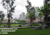 listing thumbnail image 13