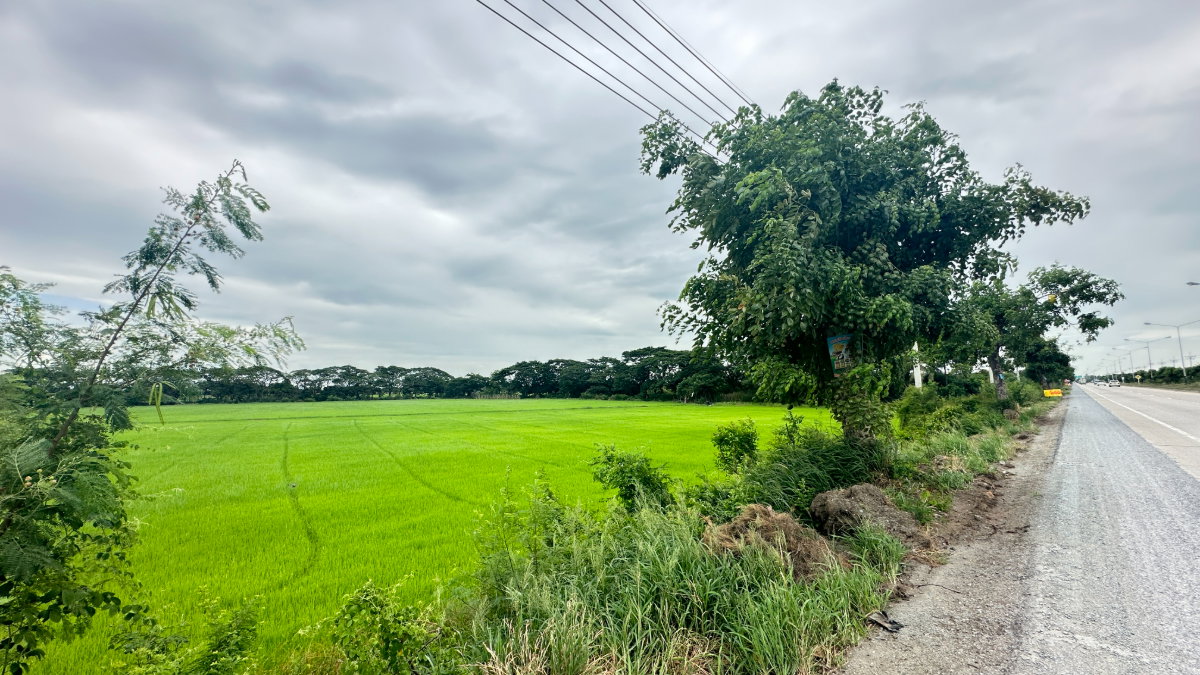 รูป ที่ดินสุพรรณบุรี 39 ไร่ กว้างติดถนนใหญ่ หน้ากว้าง 500 m อำเภอเมือง ให้เช่า เจ้าของปล่อยเอง - รูปที่ 3/5