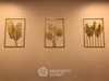 listing thumbnail image 29