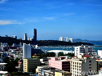 ขายคอนโด : ขาย คอนโด 1 ห้องนอน ในโครงการ เอดจ์ เซนทรัล พัทยา 6546001