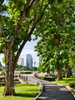 listing thumbnail image 13