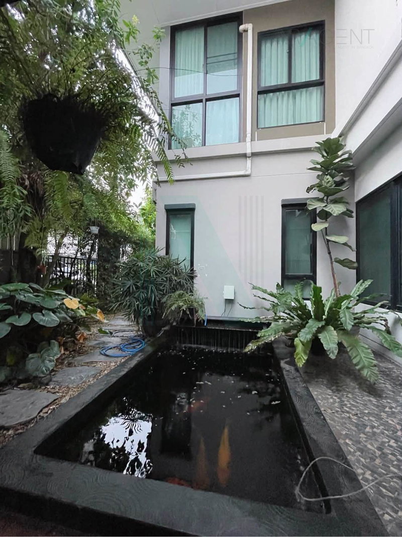ขายบ้านเดี่ยว : ขายบ้านเดี่ยว โครงการ ซีรีน เพชรเกษม 2 ชั้น 4 ห้องนอน 3 ห้องน้ำ