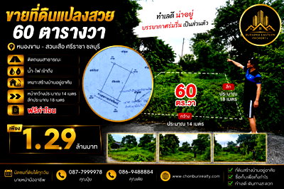 ที่ดิน ชลบุรี : ขายถูกที่ดินศรีราชาทำเลดี อ.ศรีราชา จ.ชลบุรี เหมาะสร้างบ้านอยู่อาศัย