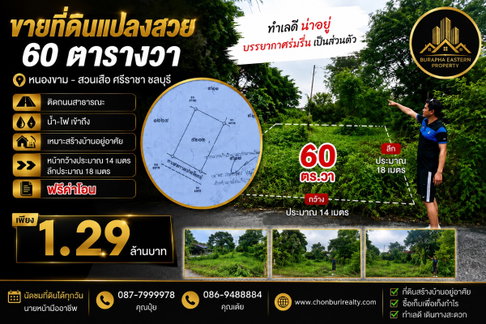 ขายถูกที่ดินศรีราชาทำเลดี อ.ศรีราชา จ.ชลบุรี เหมาะสร้างบ้านอยู่อาศัย