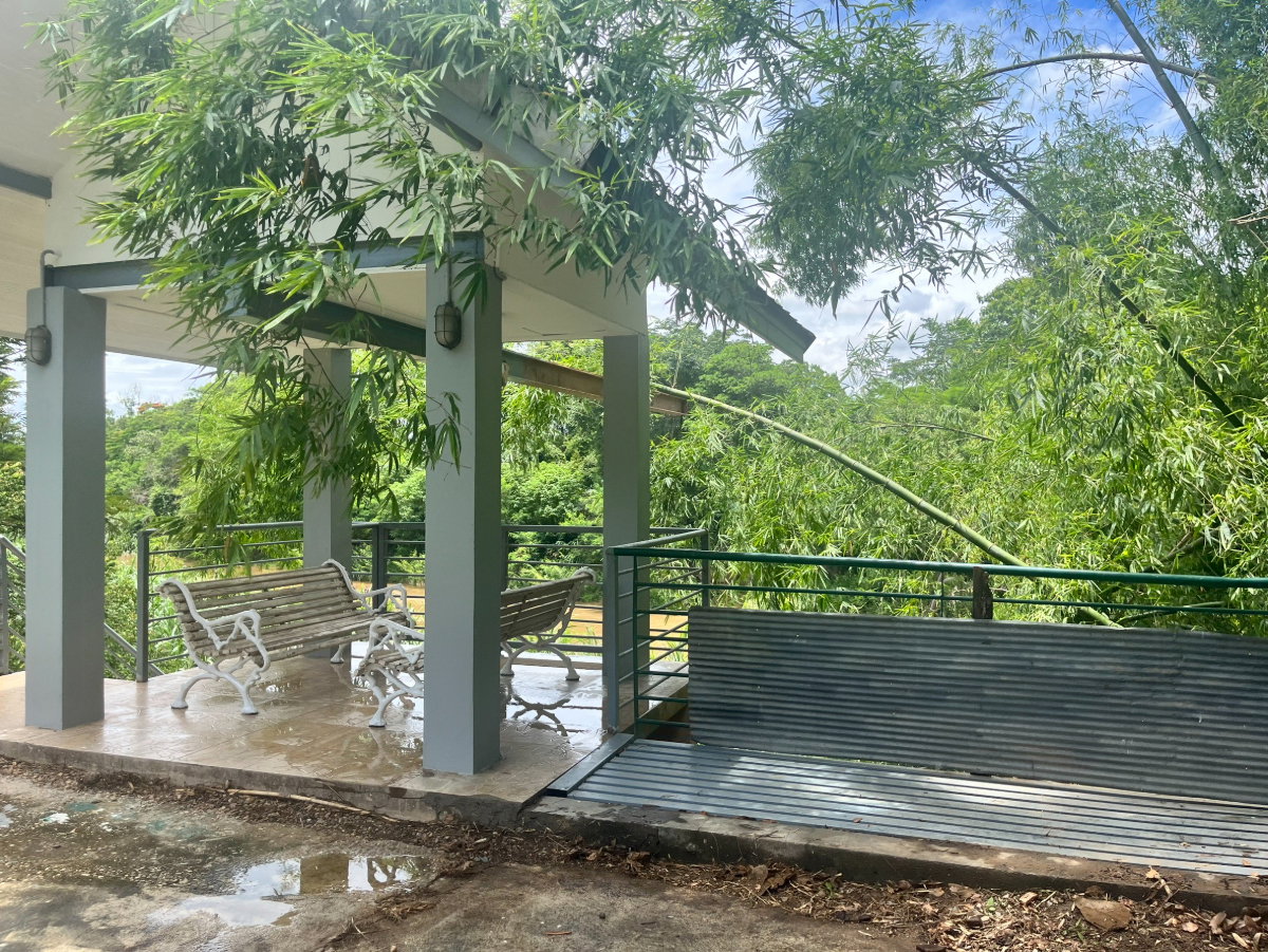 รูป บ้านสวนพูลวิลล่าให้เช่า ริมแม่น้ำปิง แม่ริม เชียงใหม่ (EN below) - รูปที่ 19/20