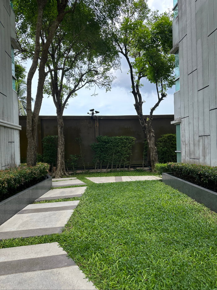 picture Condo for sale D Condo Coco, Surat Thani, city view. - 31/35