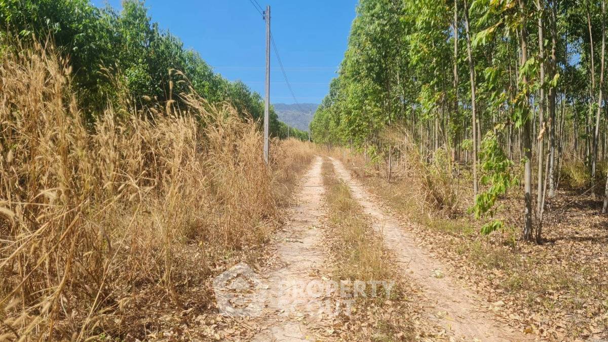 รูป ที่ดินขาย ใน คลองกิ่ว บ้านบึง ชลบุรี (ID 3053821) - รูปที่ 10/10